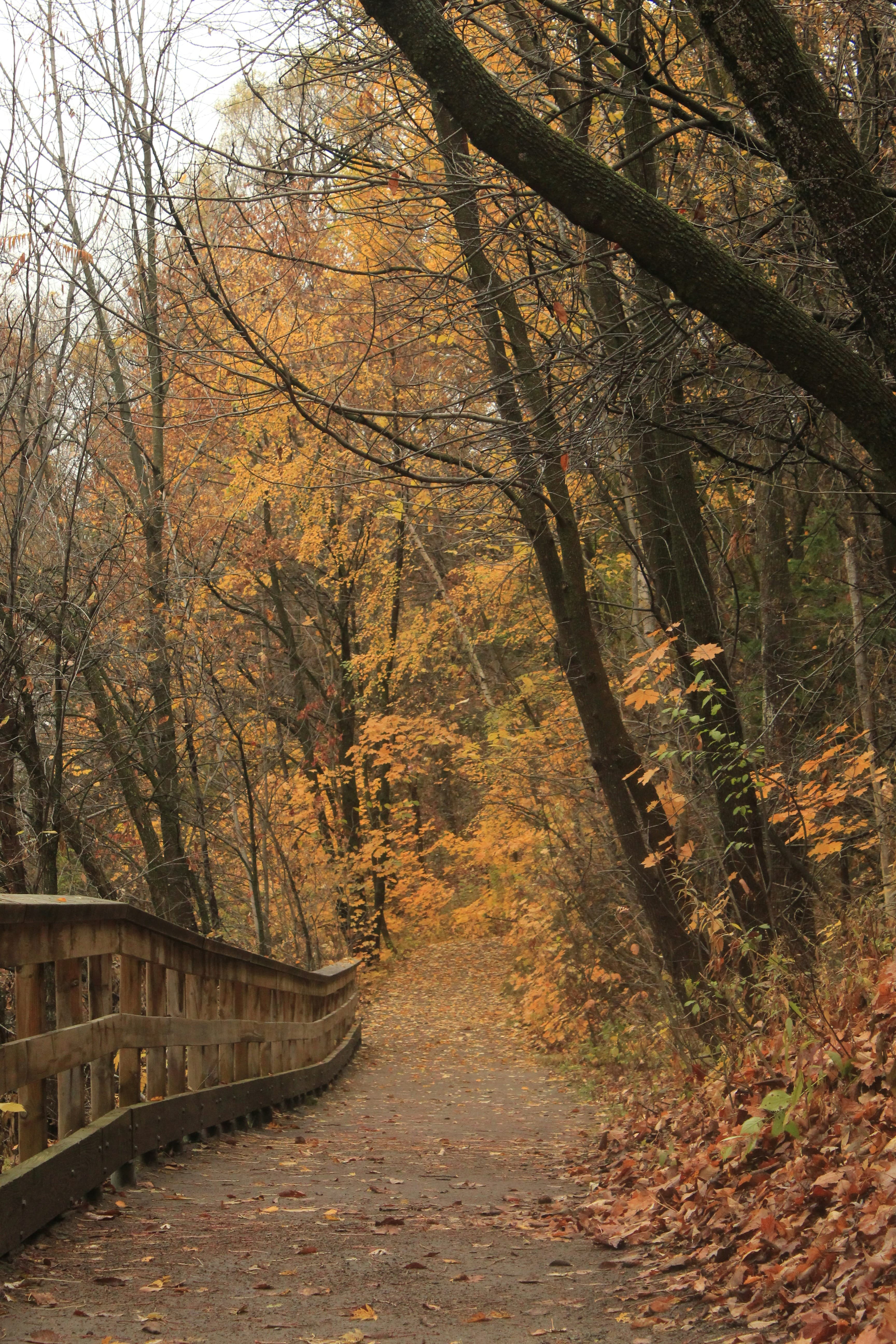 Quebec business district